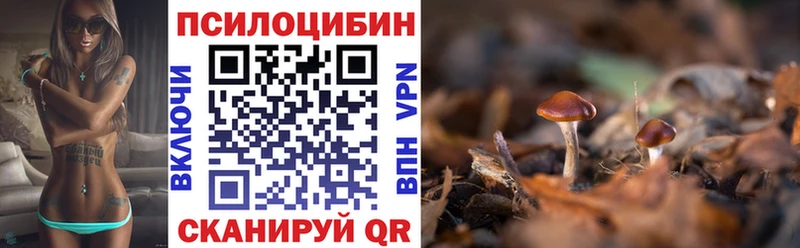 Псилоцибиновые грибы мухоморы  хочу   Пучеж 